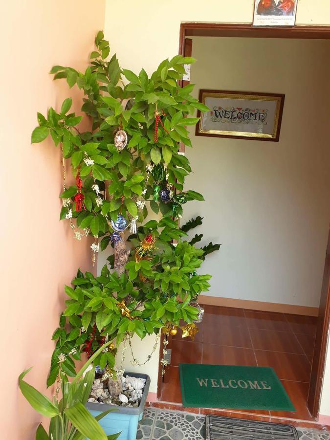 R&E Bed & Breakfast Ivana Exteriér fotografie